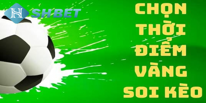 Banner www.konerpaint.com