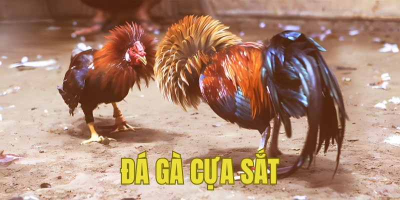 Banner www.konerpaint.com