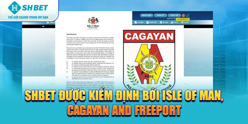 Banner www.konerpaint.com