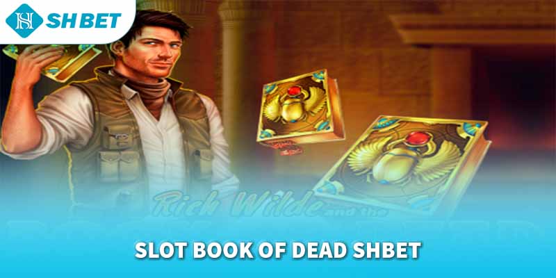 Banner www.konerpaint.com