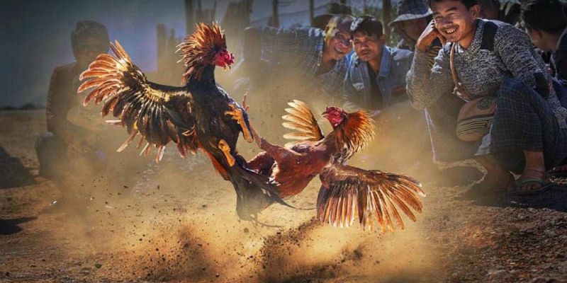 Banner www.konerpaint.com